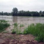 Gmina Skalbmierz. Ulewne deszcze przeszły przez gminę Skalbmierz (23.05.2019) / Urząd Miasta i Gminy Skalbmierz