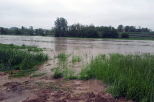 Gmina Skalbmierz. Ulewne deszcze przeszły przez gminę Skalbmierz (23.05.2019) / Urząd Miasta i Gminy Skalbmierz