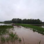 Zalane tereny Gminy Skalbmierz / Urząd Miasta i Gmina Skalbmierz / Facebook