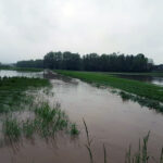 Gmina Skalbmierz. Ulewne deszcze przeszły przez gminę Skalbmierz (23.05.2019) / Urząd Miasta i Gminy Skalbmierz