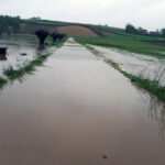 Gmina Skalbmierz. Ulewne deszcze przeszły przez gminę Skalbmierz (23.05.2019) / Urząd Miasta i Gminy Skalbmierz