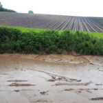 Gmina Skalbmierz. Ulewne deszcze przeszły przez gminę Skalbmierz (23.05.2019) / Urząd Miasta i Gminy Skalbmierz