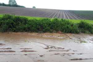 Gmina Skalbmierz. Ulewne deszcze przeszły przez gminę Skalbmierz (23.05.2019) / Urząd Miasta i Gminy Skalbmierz