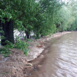 Gmina Skalbmierz. Ulewne deszcze przeszły przez gminę Skalbmierz (23.05.2019) / Urząd Miasta i Gminy Skalbmierz