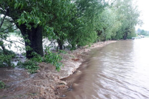 Gmina Skalbmierz. Ulewne deszcze przeszły przez gminę Skalbmierz (23.05.2019) / Urząd Miasta i Gminy Skalbmierz