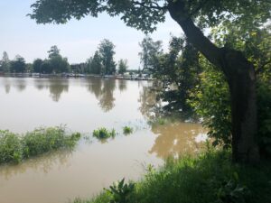 Sandomierz. Bulwar nadwiślański. Podtopienie / Grażyna Szlęzak-Wójcik / Radio Kielce