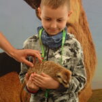 Warsztaty ze zwierzętami egzotycznymi / Emilia Sitarska / Radio Kielce