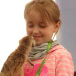 Warsztaty ze zwierzętami egzotycznymi / Emilia Sitarska / Radio Kielce