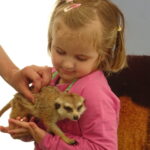 Warsztaty ze zwierzętami egzotycznymi / Emilia Sitarska / Radio Kielce