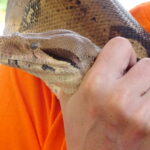 Warsztaty ze zwierzętami egzotycznymi / Emilia Sitarska / Radio Kielce