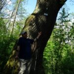 Sudół. Uroczystości upamiętniające 156. rocznicę wygranej bitwy pod Jeziórkiem. Dąb Dionizy / Emilia Sitarska / Radio Kielce