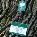 Sudół. Uroczystości upamiętniające 156. rocznicę wygranej bitwy pod Jeziórkiem. Dąb Dionizy / Emilia Sitarska / Radio Kielce