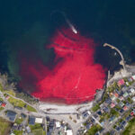 Wyspy Owcze / Kuba Witek