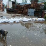 Zagość. Podtopienia / Marta Gajda / Radio Kielce