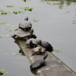 Tajwan / Jan Kowalski