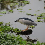 Tajwan / Jan Kowalski