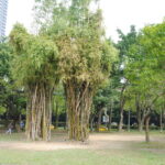 Tajwan / Jan Kowalski