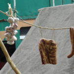 Leśny Piknik Majowy / Anna Głąb / Radio Kielce