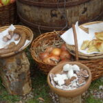 Leśny Piknik Majowy / Anna Głąb / Radio Kielce