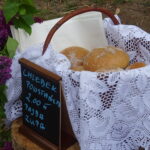 Leśny Piknik Majowy / Anna Głąb / Radio Kielce