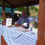 Starachowice. Juwenalia UTW / Anna Głąb / Radio Kielce