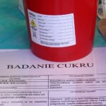 Starachowice. Biała Niedziela / Anna Głąb / Radio Kielce