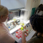 Kielce. Warsztaty dotyczące alternatywnych form żywienia w Instytucie Dizajnu / Wiktor Dziarmaga / Radio Kielce