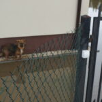 Skutki ulewy w powiecie staszowskim / Mateusz Kaczmarczyk / Radio Kielce