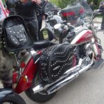 Święty Krzyż. Rozpoczęcie sezonu motocyklowego / Anna Głąb / Radio Kielce