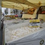 Budzenie Sienkiewki / Piotr Kwaśniewski / Radio Kielce