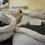 Budzenie Sienkiewki / Piotr Kwaśniewski / Radio Kielce