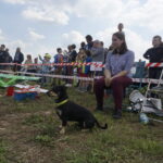 II Piknik Klubu Modelarstwa Sportowego / Mateusz Kaczmarczyk / Radio Kielce