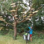 Rowerem z Drezna do Berlina / Piotr Olszewski