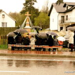 Majówki 2017 / Jarosław Kubalski / Radio Kielce