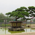 Tajwan / Jan Kowalski