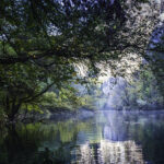 Podwodna przygoda / Irena Stangierska