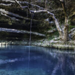 Podwodna przygoda / Irena Stangierska