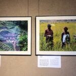 Sandomierz. Wernisaż wystawy „Rwanda - 25 lat pokoju” / Grażyna Szlęzak - Wójcik / Radio Kielce