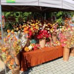 Busko-Zdrój. 43. Buskie Spotkania z Folklorem / Marta Gajda / Radio Kielce