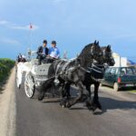 Czuszów. Piknik rodzinny współorganizowany przez posła Michała Cieślaka / Marta Gajda / Radio Kielce