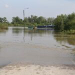 Nowy Korczyn. Zalane tereny / Marta Gajda / Radio Kielce