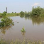 Nowy Korczyn. Zalane tereny / Marta Gajda / Radio Kielce