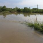 Nowy Korczyn. Zalane tereny / Marta Gajda / Radio Kielce