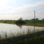 Nowy Korczyn. Zalane tereny / Marta Gajda / Radio Kielce