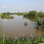 Nowy Korczyn. Zalane tereny / Marta Gajda / Radio Kielce