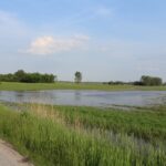 Nowy Korczyn. Zalane tereny / Marta Gajda / Radio Kielce