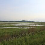 Nowy Korczyn. Zalane tereny / Marta Gajda / Radio Kielce