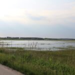 Nowy Korczyn. Zalane tereny / Marta Gajda / Radio Kielce