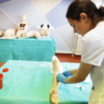 23.05.2019 Kielce. Wyższa Szkoła Ekonomii, Prawa i Nauk Medycznych. Otwarcie Centrum Symulacji Medycznych. Fantomy / Jarosław Kubalski / Radio Kielce