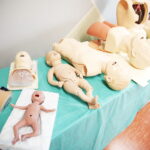 23.05.2019 Kielce. Wyższa Szkoła Ekonomii, Prawa i Nauk Medycznych. Otwarcie Centrum Symulacji Medycznych. Fantomy / Jarosław Kubalski / Radio Kielce